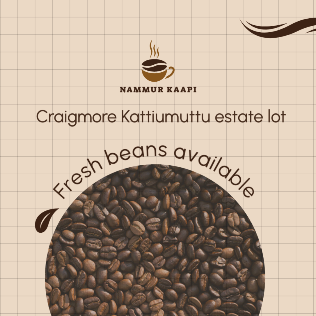 Craigmore Kattimuttu Estate Lot - Washed Arabica