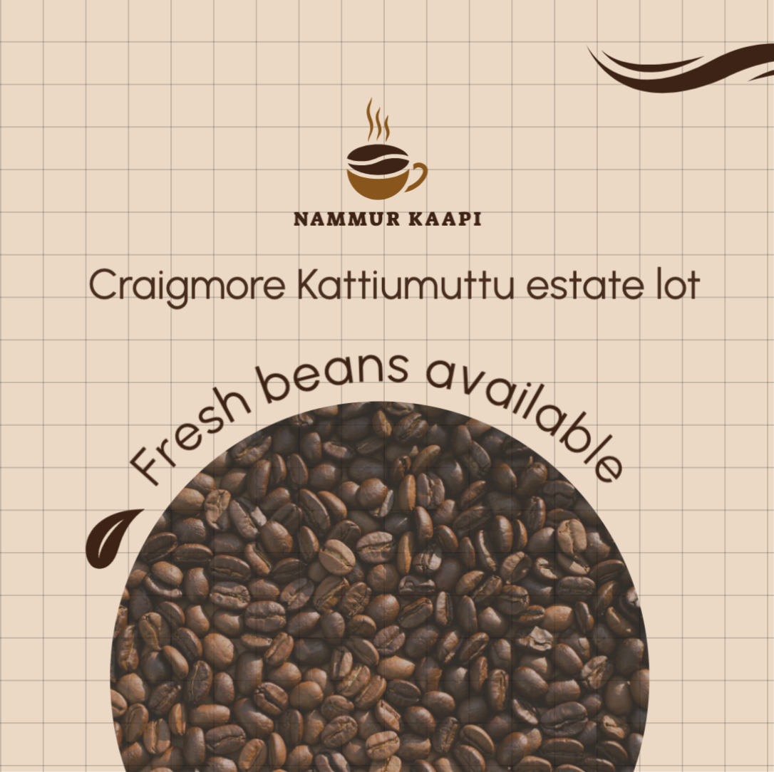 Craigmore Kattimuttu estate lot - washed arabica